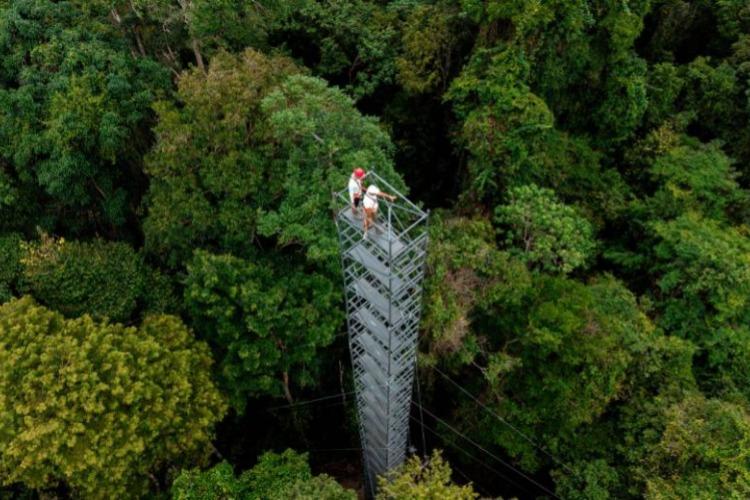 O legado de seu Duquinha e a ciência que estuda a regeneração da floresta na Amazônia