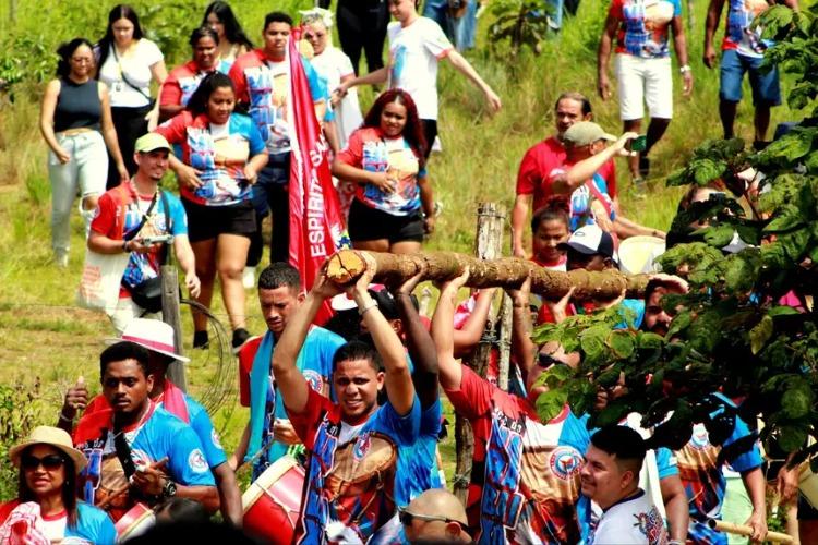 Governo do Amapá celebra resistência e fé no tradicional Corte do Mastro do Ciclo do Marabaixo