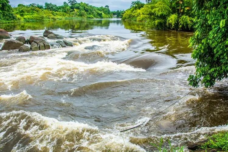 Governo do Estado avança na construção do Plano Diretor da Bacia Hidrográfica do Rio Araguari