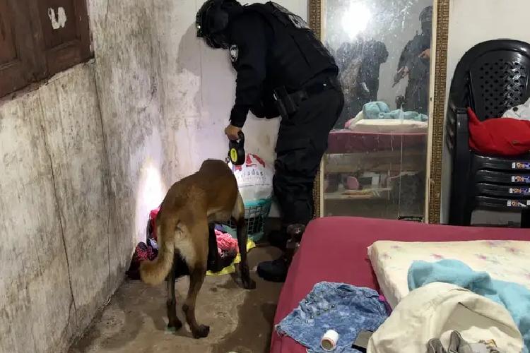 Polícia Civil do Amapá cumpre mandados contra pessoas envolvidas em homicídios ordenados por grupos criminosos
