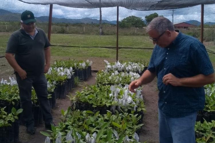 Comitiva do Amapá visita Roraima para conhecer experiência dos Fóruns de Agricultura Familiar