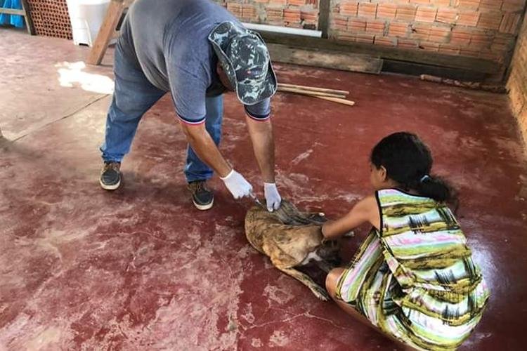 Cooperação entre SVS e Diagro vai mapear zoonoses e prestará apoio a municípios