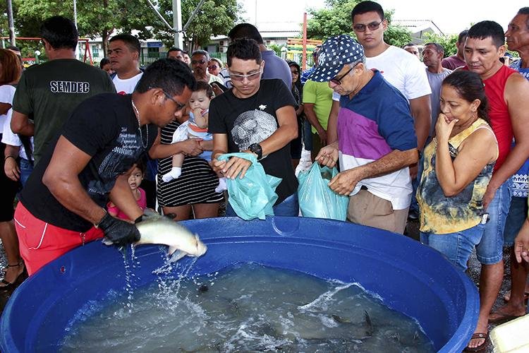 Peixe Vivo repete sucesso de edições anteriores e população garante almoço da Semana Santa