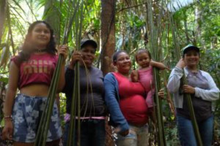 Mulheres Paumari fortalecem tradição do teçume e ampliam oportunidades de geração de renda no Amazonas