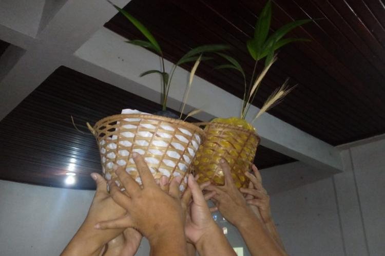 PROJETO VERDE LIBERDADE TRABALHA PRÁTICAS AGRÍCOLAS COM MULHERES DO IAPEN