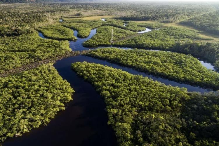 Novo estudo revela que 72% das unidades de conservação federais do Brasil  não receberam financiamento adequado ao longo de 10 anos;  na Amazônia, déficit é quase total