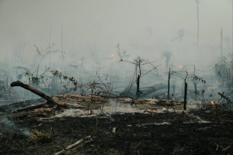 Amacro: lacunas na legislação incentivam grilagem e desmatamento, alerta estudo do Imazon