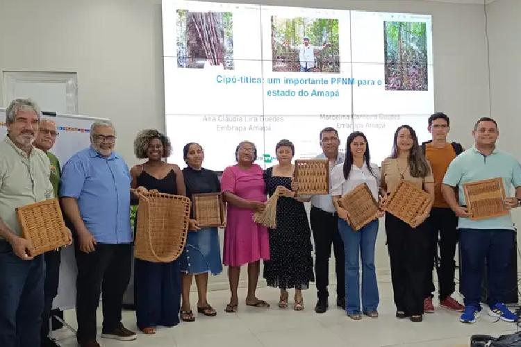 Governo do Amapá articula manejo sustentável do cipó-titica para comercialização nacional