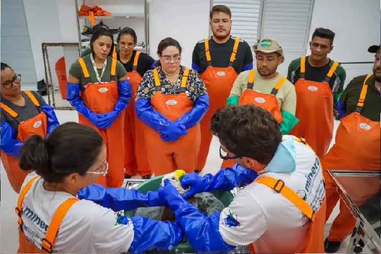 Capacitação técnica reforça atuação da Sema em respostas de emergências ambientais na Margem Equatorial do Amapá