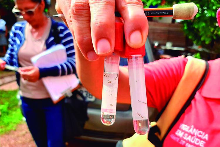 Combate à dengue: 1º ciclo do LIRAa inicia em Macapá