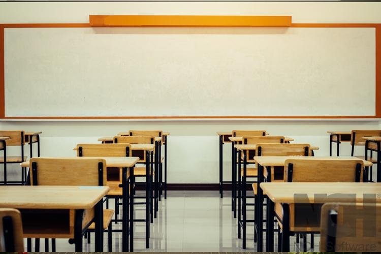 Ano letivo de 2021 do ensino básico poderá ser concluído em 2022, define CNE