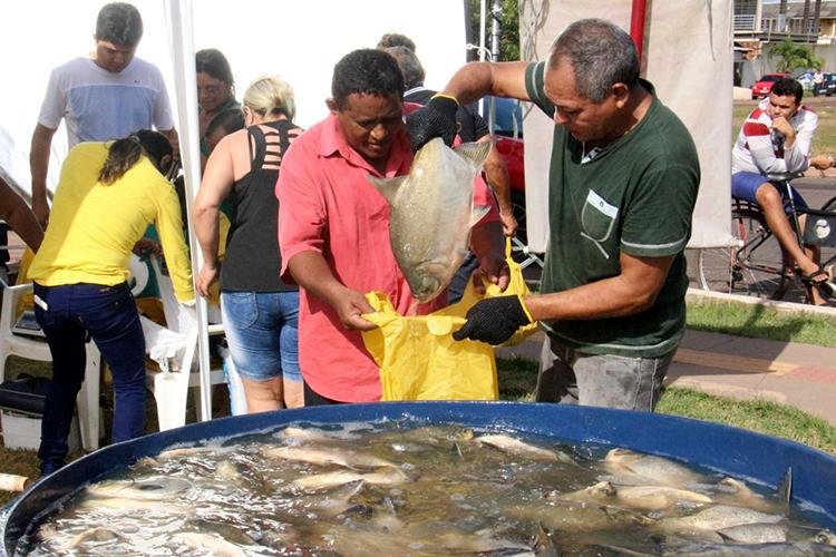Projeto Peixe Vivo: 9 toneladas de peixe serão ofertados a preço popular