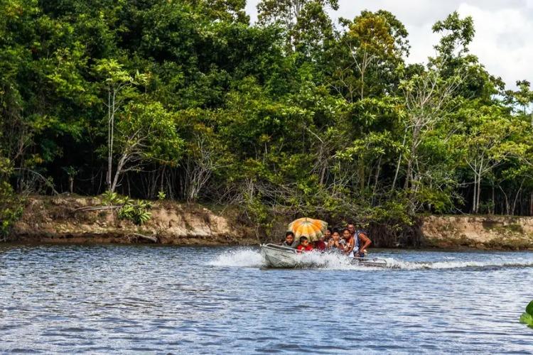 Amapá terá maior participação da história na COP30, em Belém no Pará
