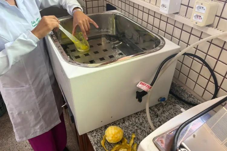 Projeto da Ueap produz bioplástico a partir do amido de milho e da laranja